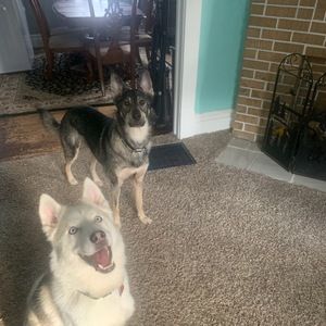 Meet your Posher, Landa